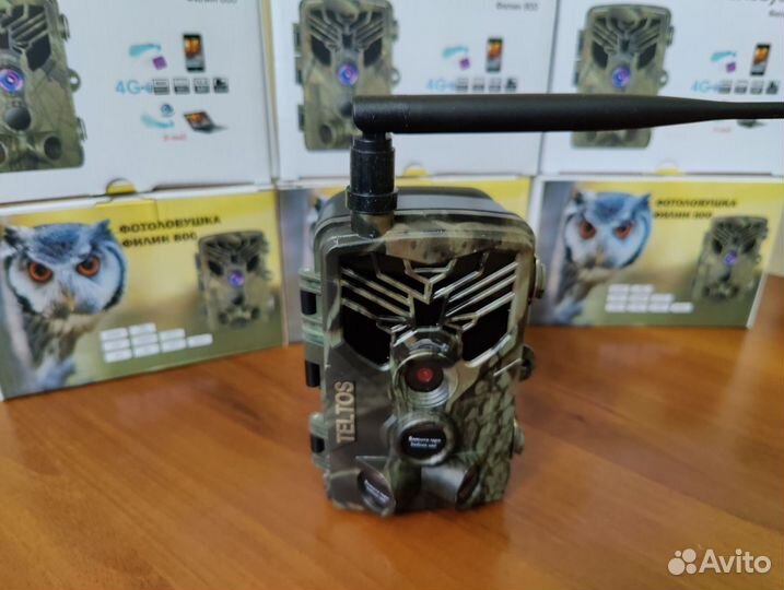 Фотоловушка Филин 800 email/MMS в Сургуте, дилер