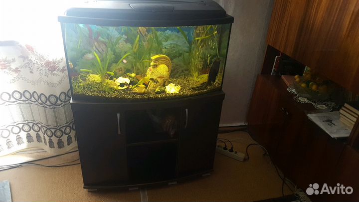Аквариум