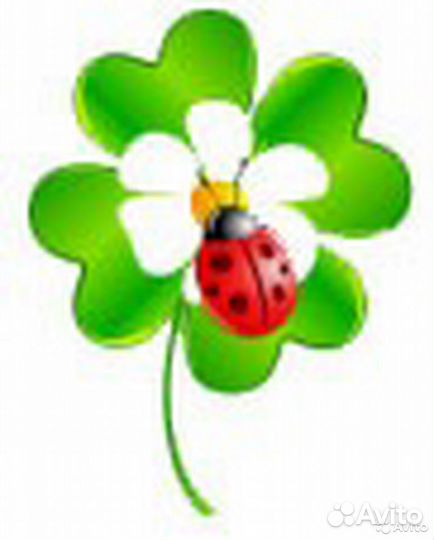 Помощник воспитателя в детский сад