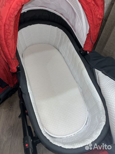 Коляска 2в1 Adamex Gloria