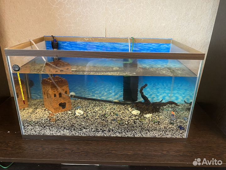 Аквариум