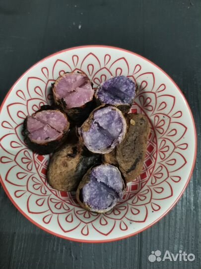 Картофель на еду и посадку сорт Сюрприз,Фиолетовый