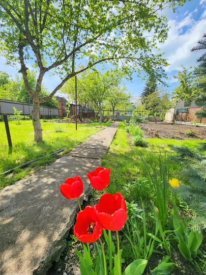 Дом 28,4 м² на участке 5,4 сот.