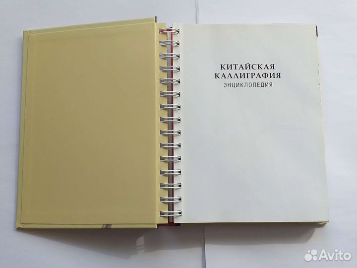 Китайская каллиграфия