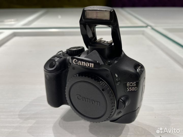 Canon 550d + Canon EF-S 18-55mm f/3.5-5.6 IS STM