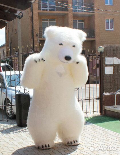 Белый мишка поздравление