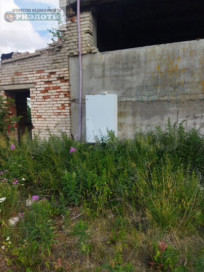 Участок 54,9 сот. (промназначения)