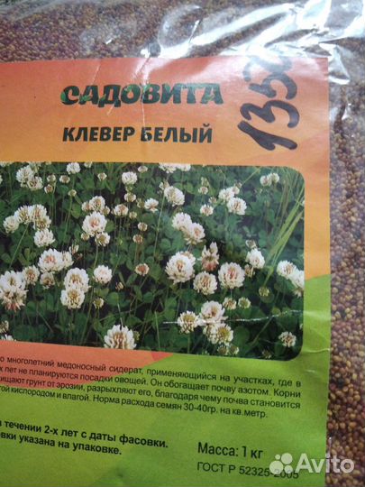 Клевер белый