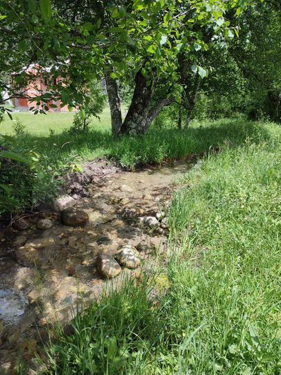 Участок 10 сот. (ИЖС)