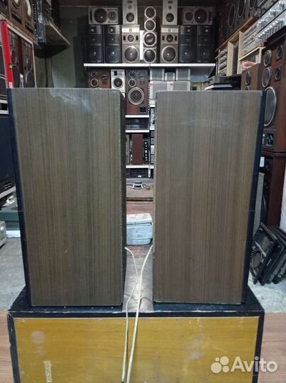 Колонки вега 50ас 106