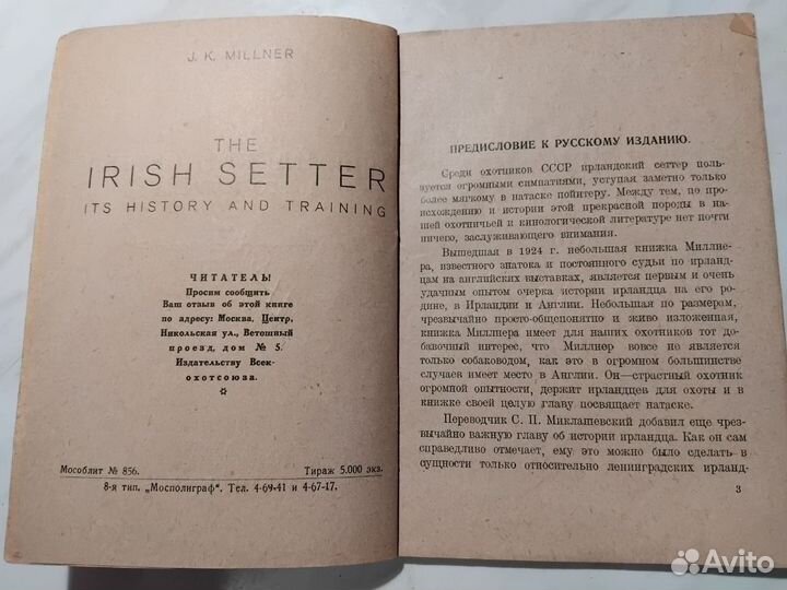 Ирландский сеттер и его натаска - Дж.К.Миллнер - 1
