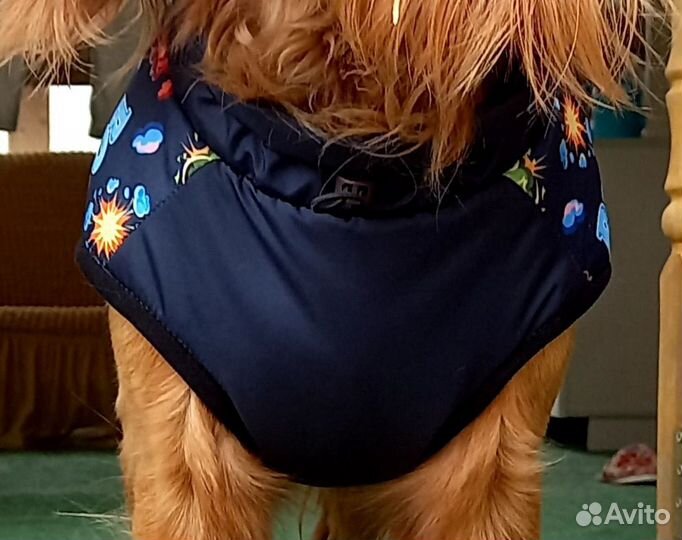 Пошив одежды для животных