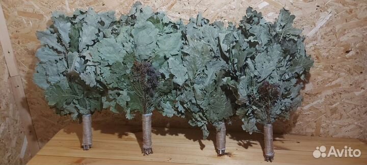 Веники дуб берёза клен осина рябина