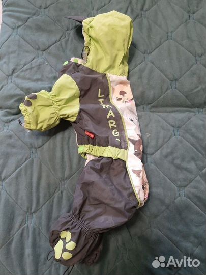 Костюм для маленькой собачки