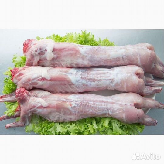 Мясо кролика и сами Кролики