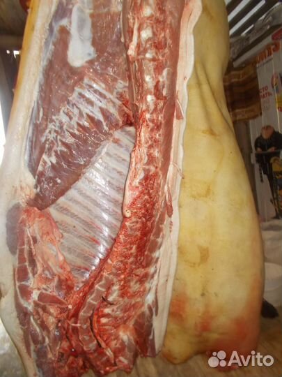 Мясо мангалицы, бройлера, козы, барана