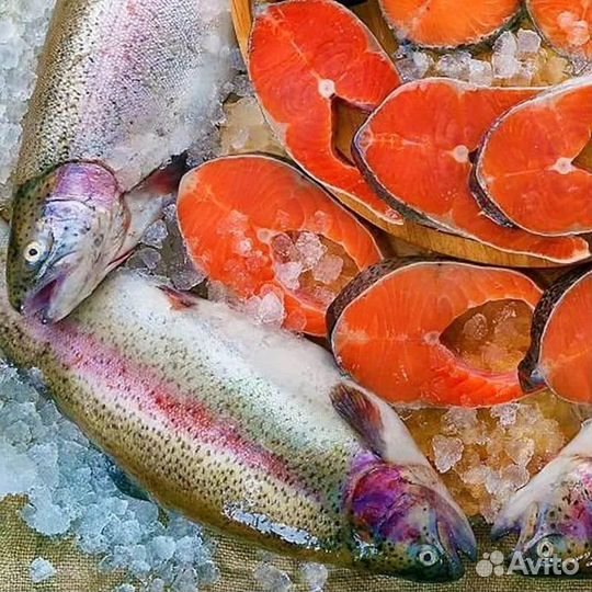 Сезон Форели из Карелии объявляется открытым