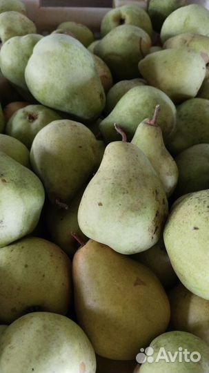 Груши