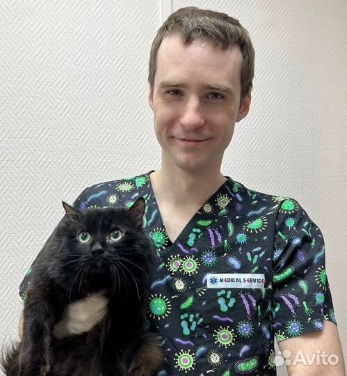 Ветеринарный врач. Ветеринар на дом