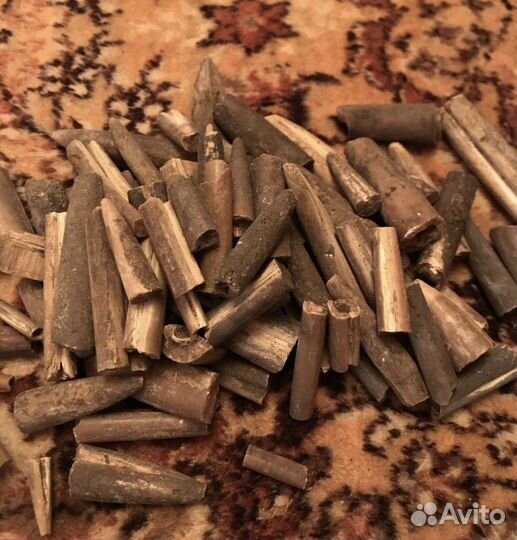 Окаменелости аммониты белемниты