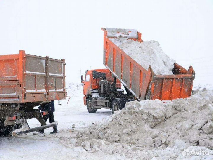 Вывоз мусора