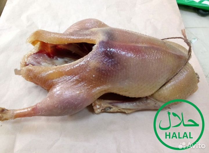 Гуси копченые и вяленные, колбасы казылык, курахан