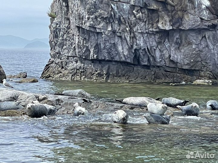 Прогулки на катере, рыбалка, аренда катера