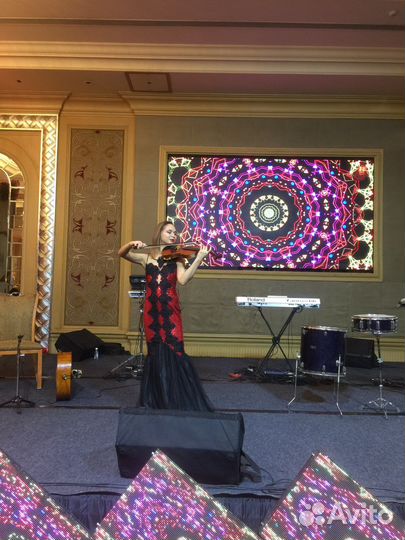 Музыкант на мероприятие