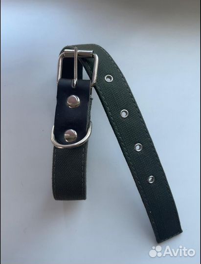 Поводок новый