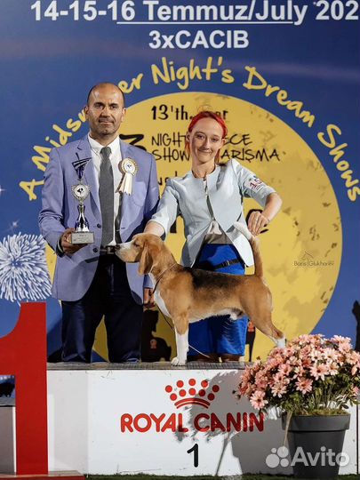 Услуги хендлера