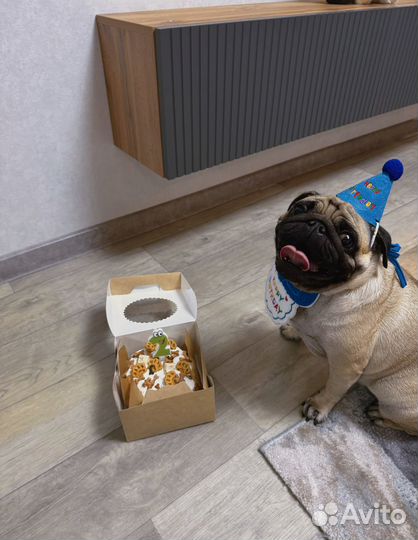 Торт для собак