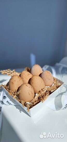 Пирожные яйца, чизкейк Кролик. Срочные заказы