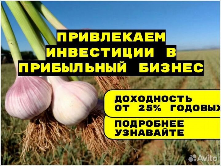 Инвестиции для развития бизнеса