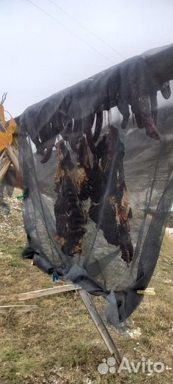 Сушеное мясо и калбас