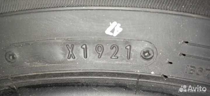 Dunlop Winter Maxx WM02 205/55 R16 94T