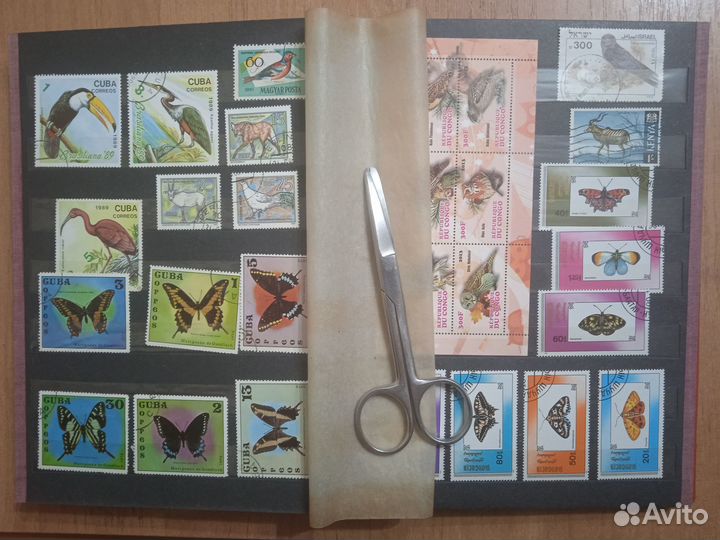 Альбом с марками Флора, фауна а2