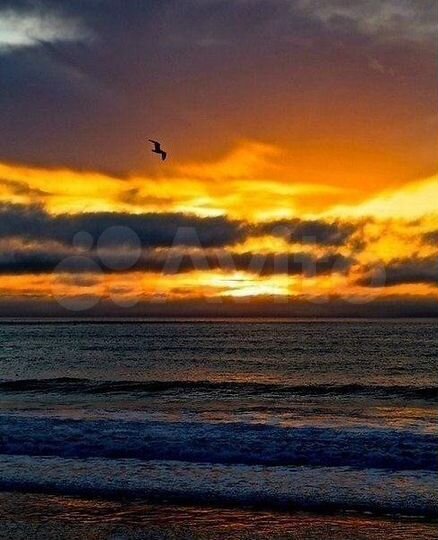 Участок 14 сот. (ИЖС)