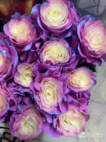 Цветы розы букет