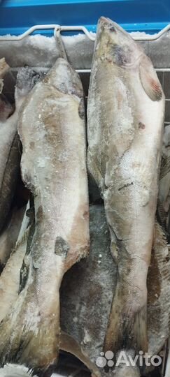 Горбуша см, филе горбуши