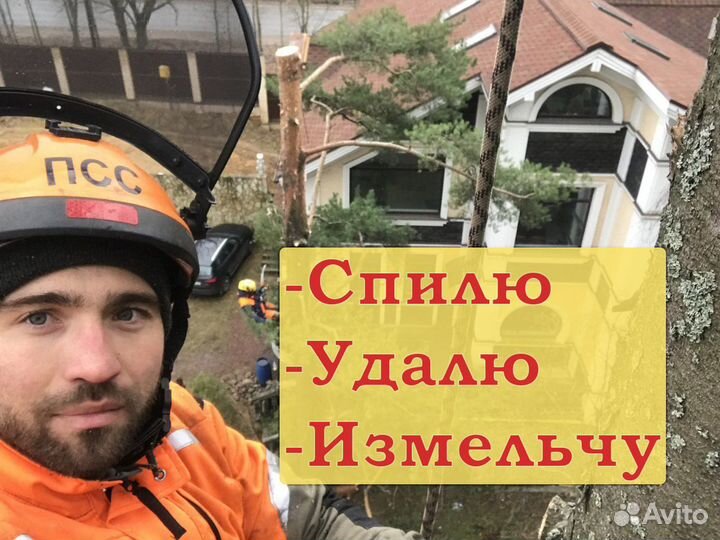 Вырубка деревьев Расчистка участков Дробление пней