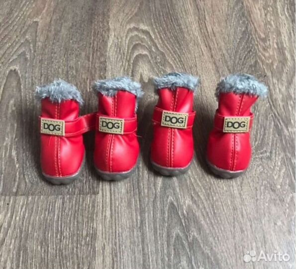 Обувь для собак