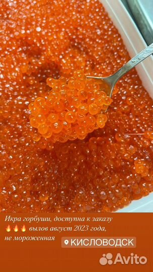 Красная икра горбуши 2023