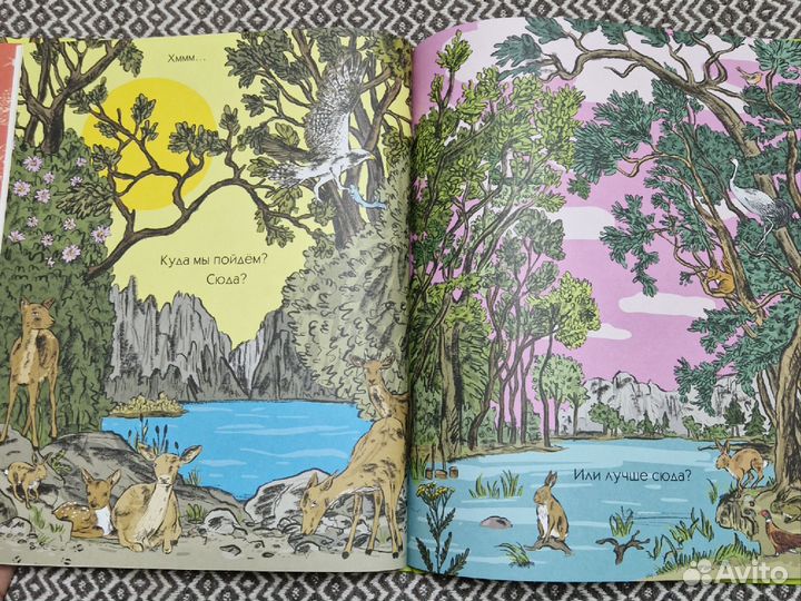 Наш день в лесу. Книга-игра