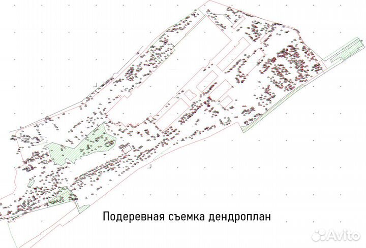 Геодезист, Вынос границ, Топографическая съемка