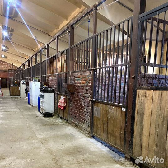 Постой для лошадей север мо