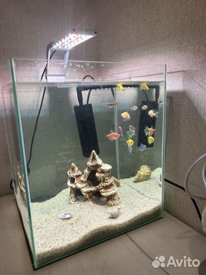 Аквариум с рыбками