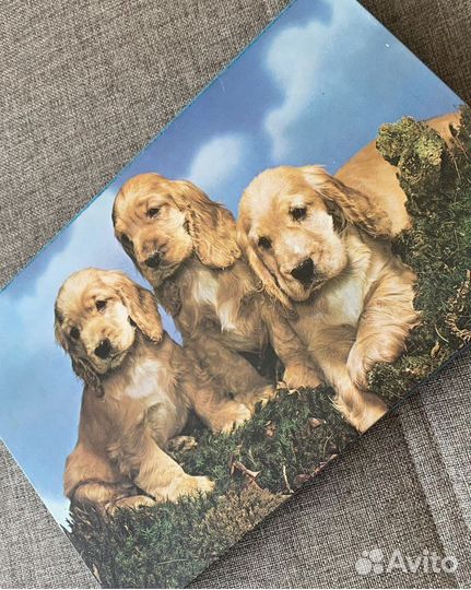 Коробка из под шоколадных конфет СССР