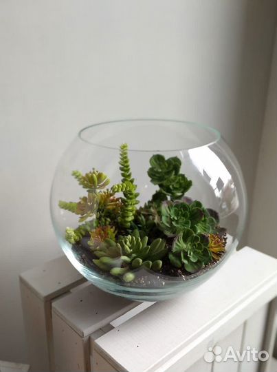 Формы для флорариума