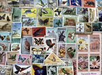 Коллекция негашеных марок флора фауна 100 шт