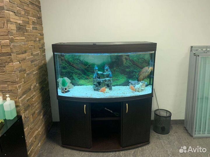 Аквариум